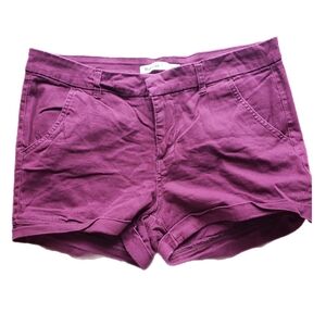 Bluennoyes Purple Women's Shorts – Size 9